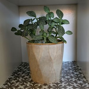Ceramic planter
